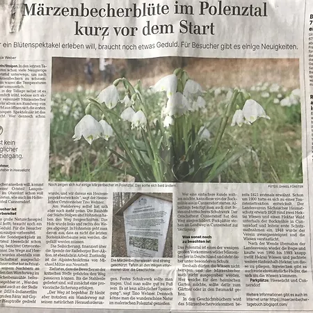 Fewo-saechsische-schweiz Stolpen